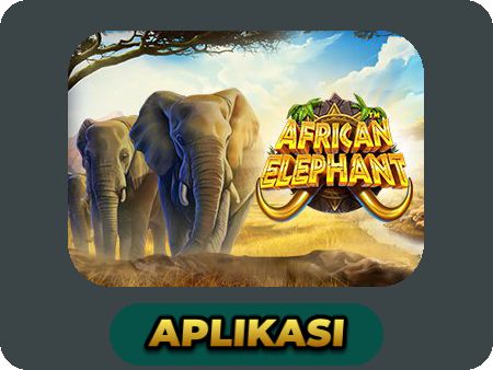 African Elephant